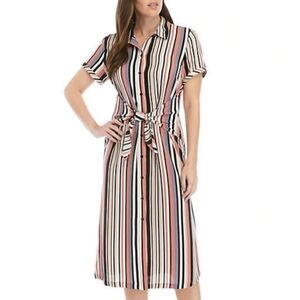 AGB Striped Crepe de Chine Shirt Dress